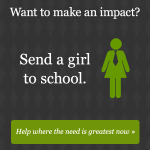 Camfed USA Camfed