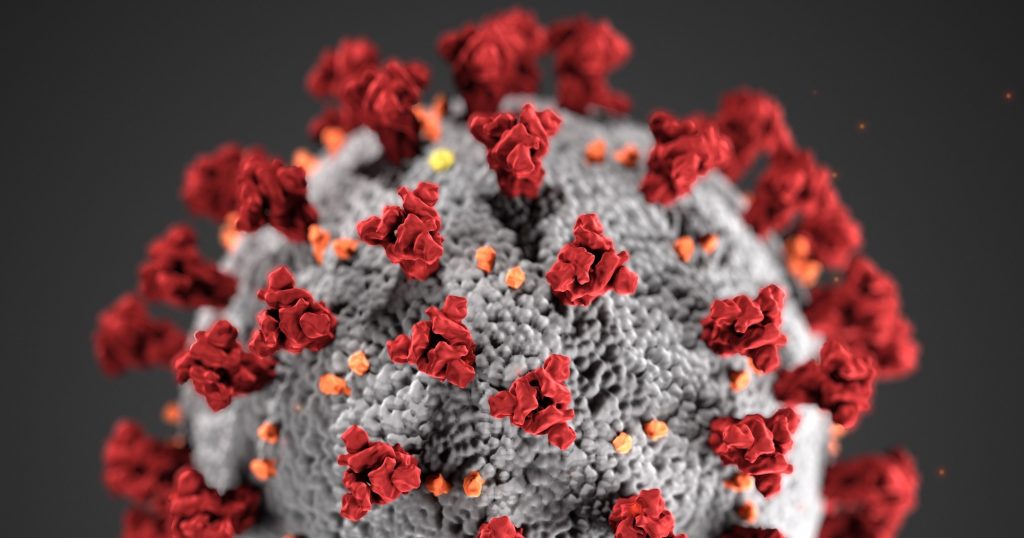 coronavirus-cdc-credit